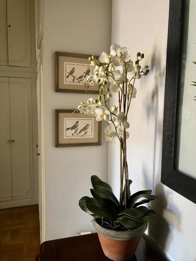 Magnifique 2 Pieces De 65M2 -Quartier Des Musiciens Apartment นีซ ภายนอก รูปภาพ